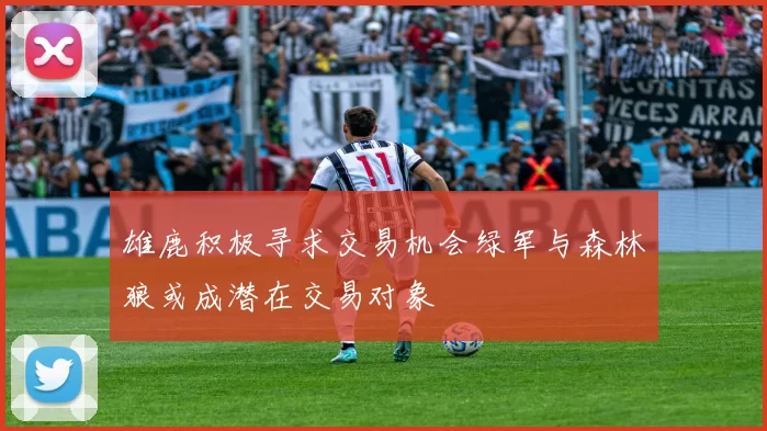 雄鹿积极寻求交易机会绿军与森林狼或成潜在交易对象