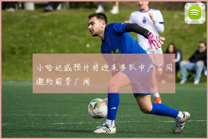 小哈达威预计将迎来多队中产合同邀约前景广阔